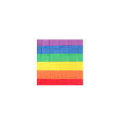 Drapeau Divertysex Multicouleur 12 Pièces