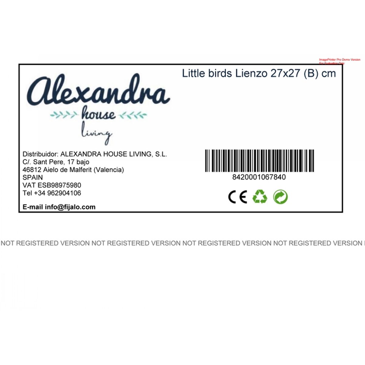 Toile HappyFriday Mr Fox Little birds Multicouleur 27 x 27 cm