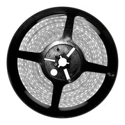 Lampe LED Silver Electronics 221020