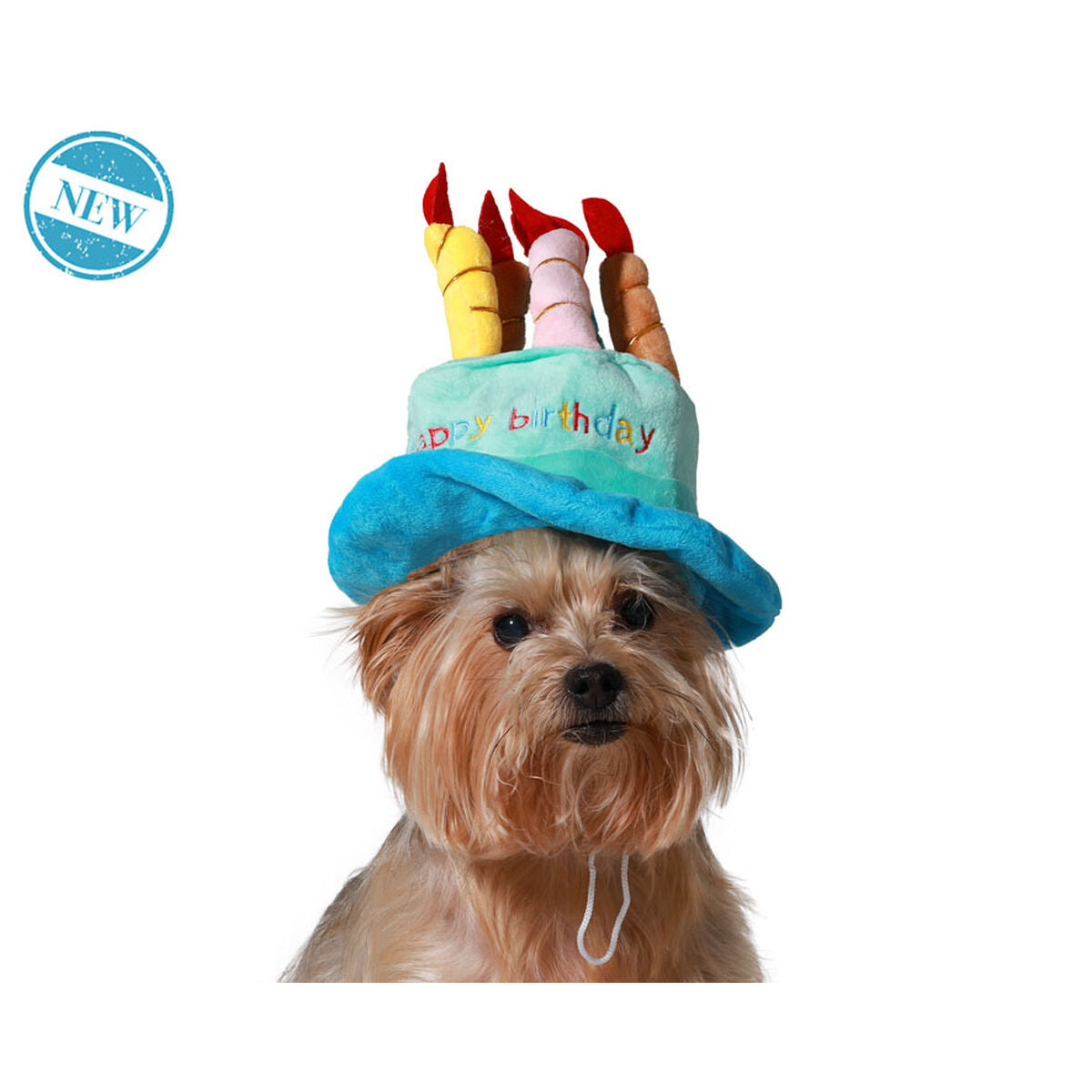 déguisement pour chien Bleu Chapeau Anniversaire