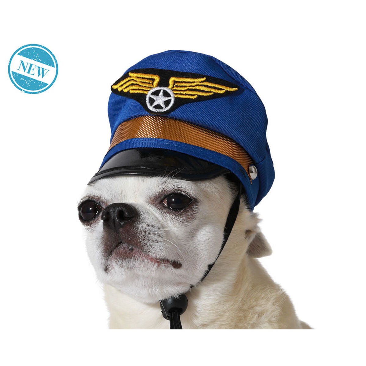 déguisement pour chien Bleu Chapeau