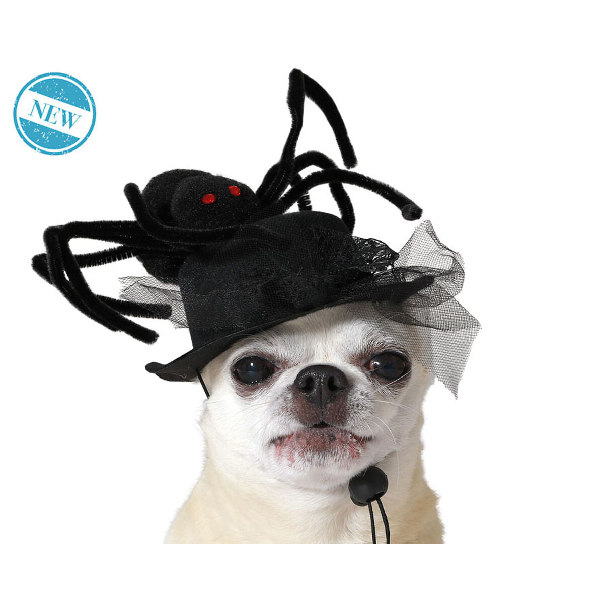 déguisement pour chien Noir Chapeau