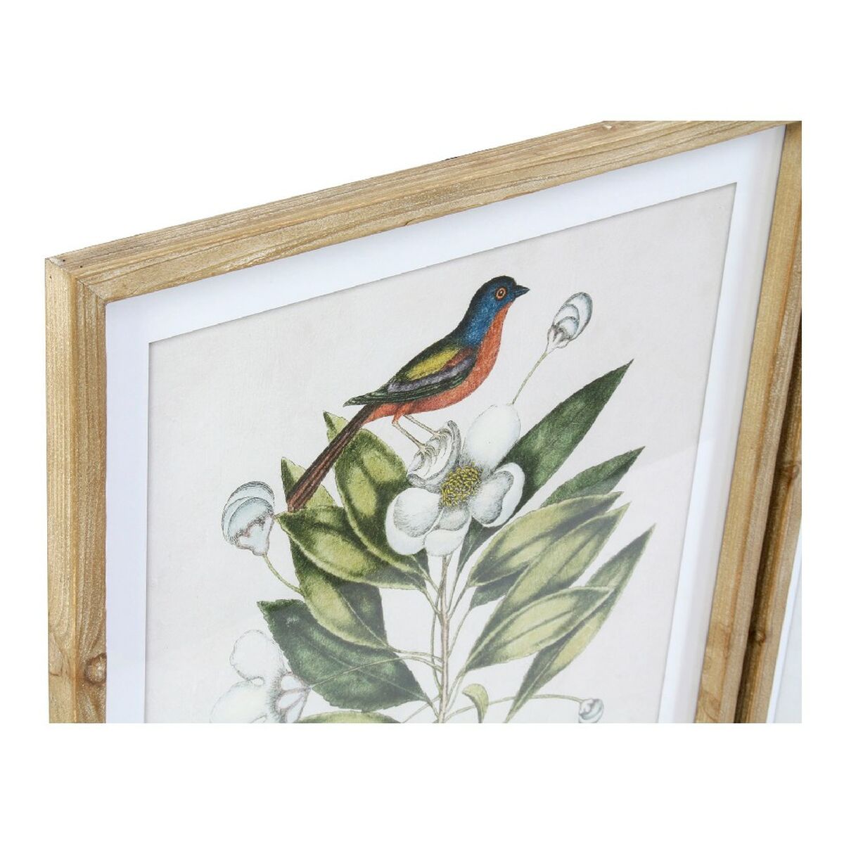 Cadre DKD Home Decor Bird Verre Sapin 55 x 2,5 x 70 cm (4 Pièces)