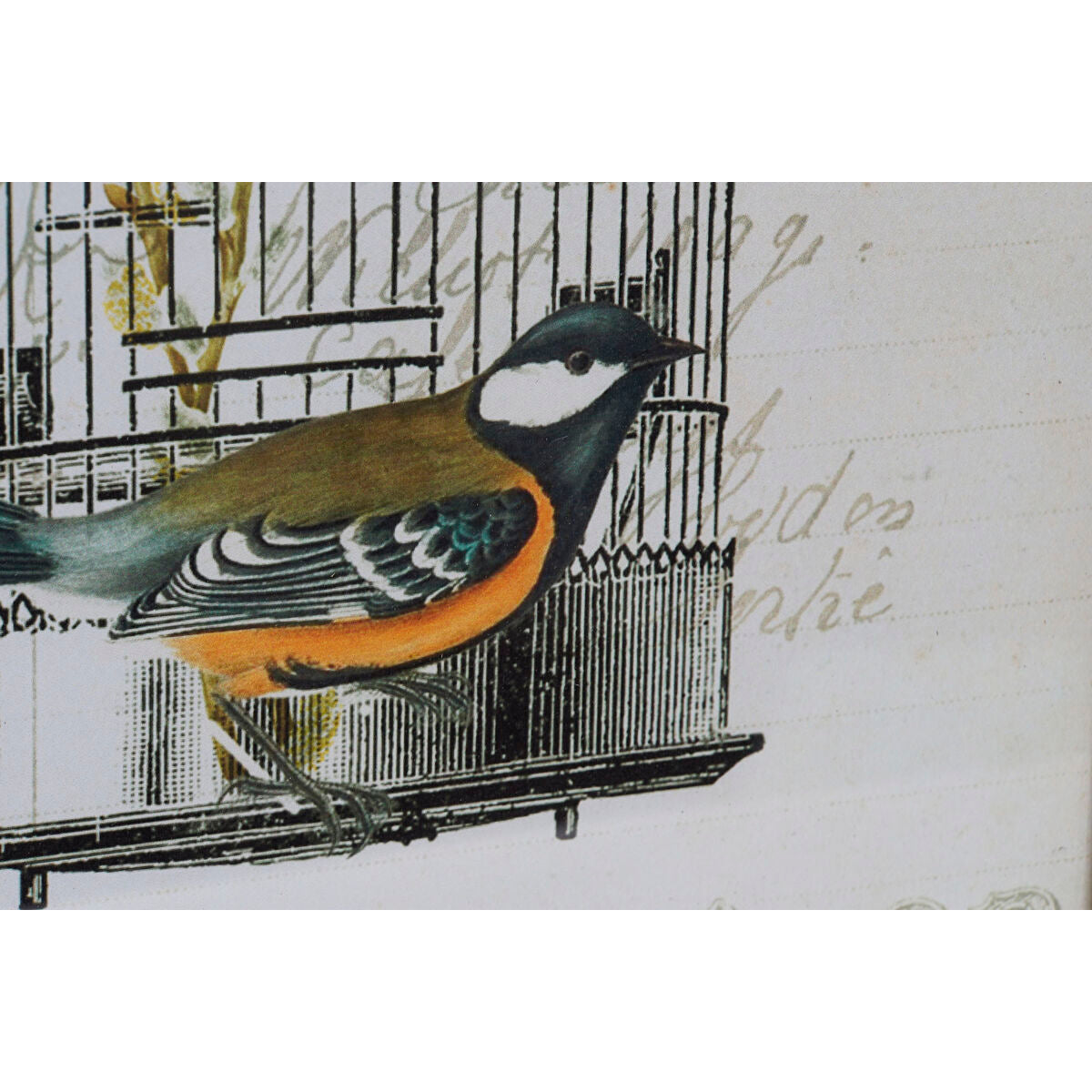 Toile DKD Home Decor Bois Toile 34 x 2 x 44 cm