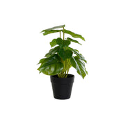 Plante décorative DKD Home Decor PVC polypropylène 20 x 20 x 30 cm