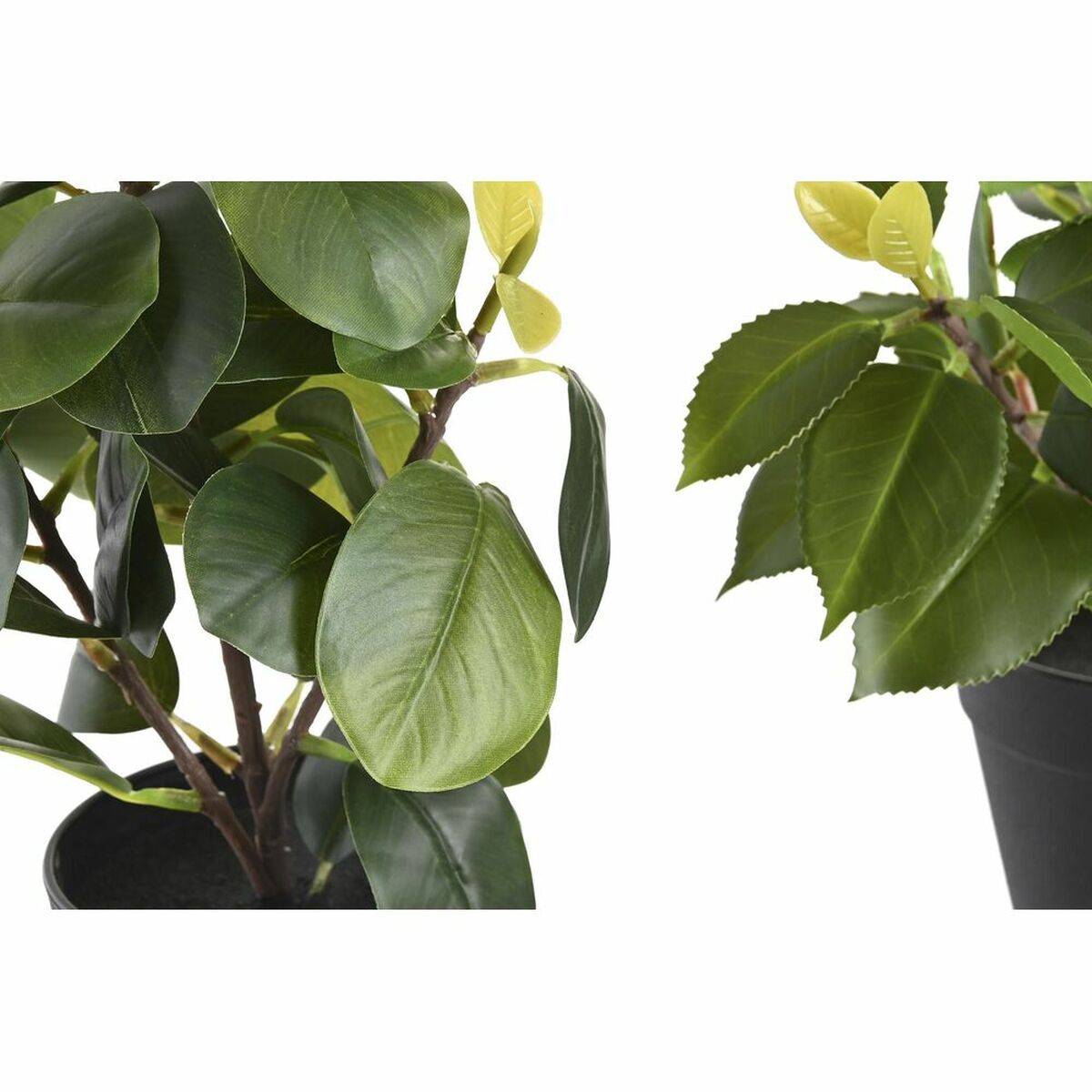 Plante décorative DKD Home Decor Vert PP PE Ficus (2 Unités) (21 x 18 x 30 cm)