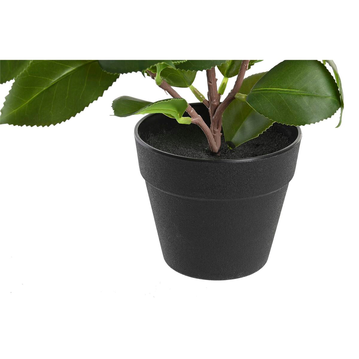 Plante décorative DKD Home Decor Vert PP PE Ficus (2 Unités) (21 x 18 x 30 cm)