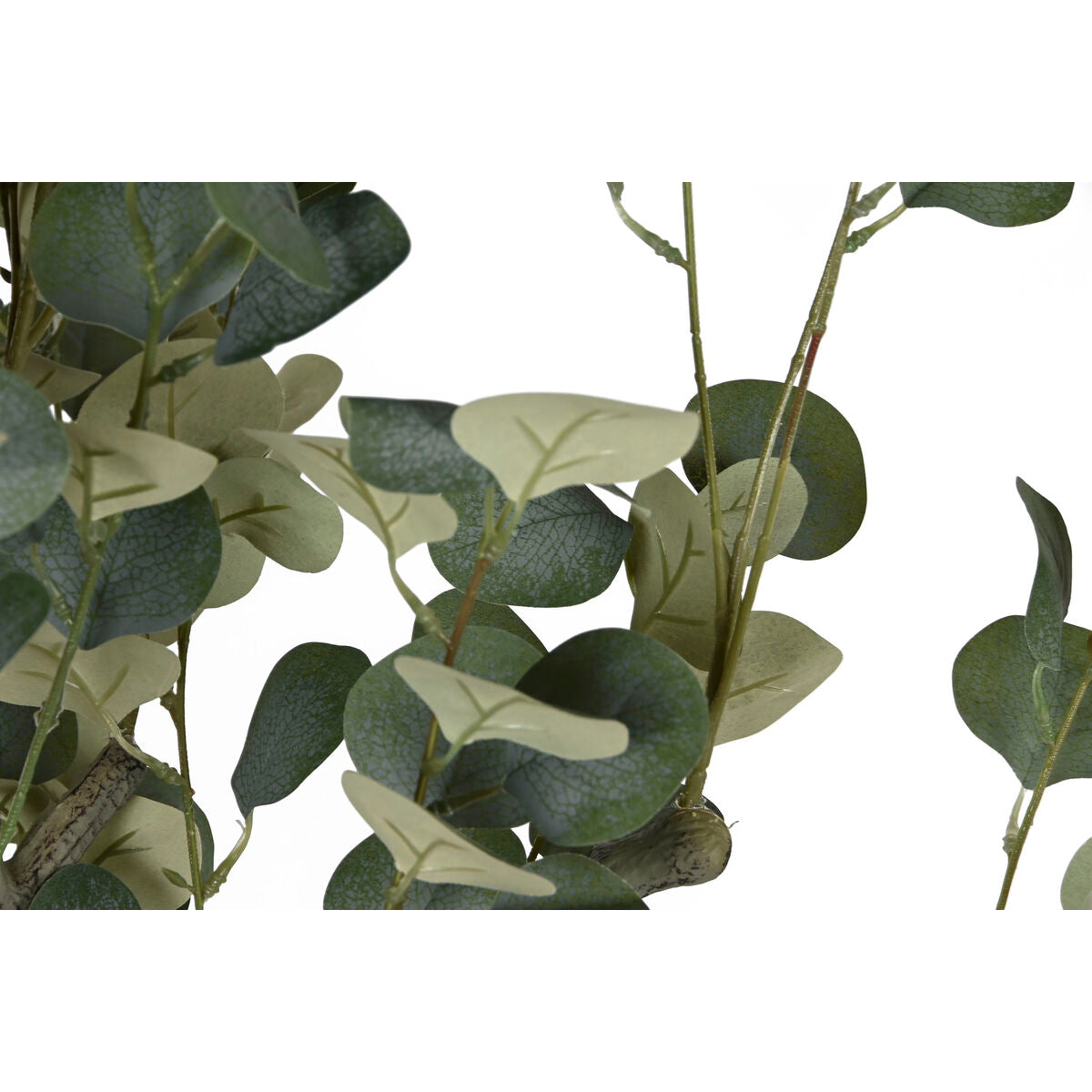 Arbre Home ESPRIT Polyéthylène Ciment Eucalyptus 80 x 80 x 220 cm