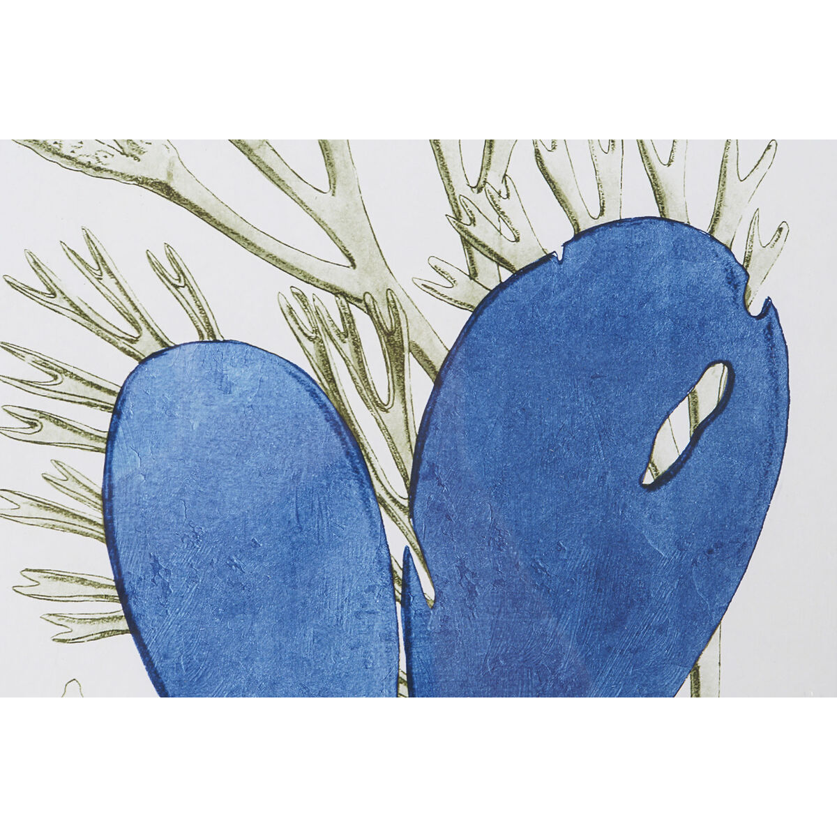 Cadre Home ESPRIT Verre Sapin 35 x 2,5 x 45 cm