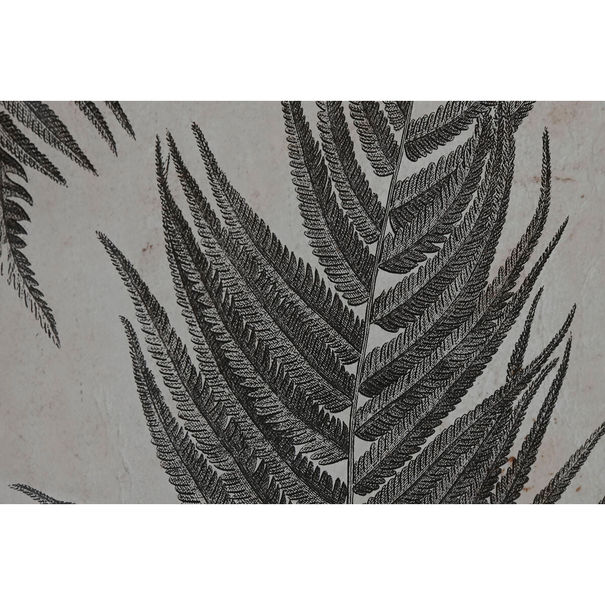 Cadre Home ESPRIT Verre Sapin 50 x 3 x 70 cm 50 x 2,5 x 70 cm