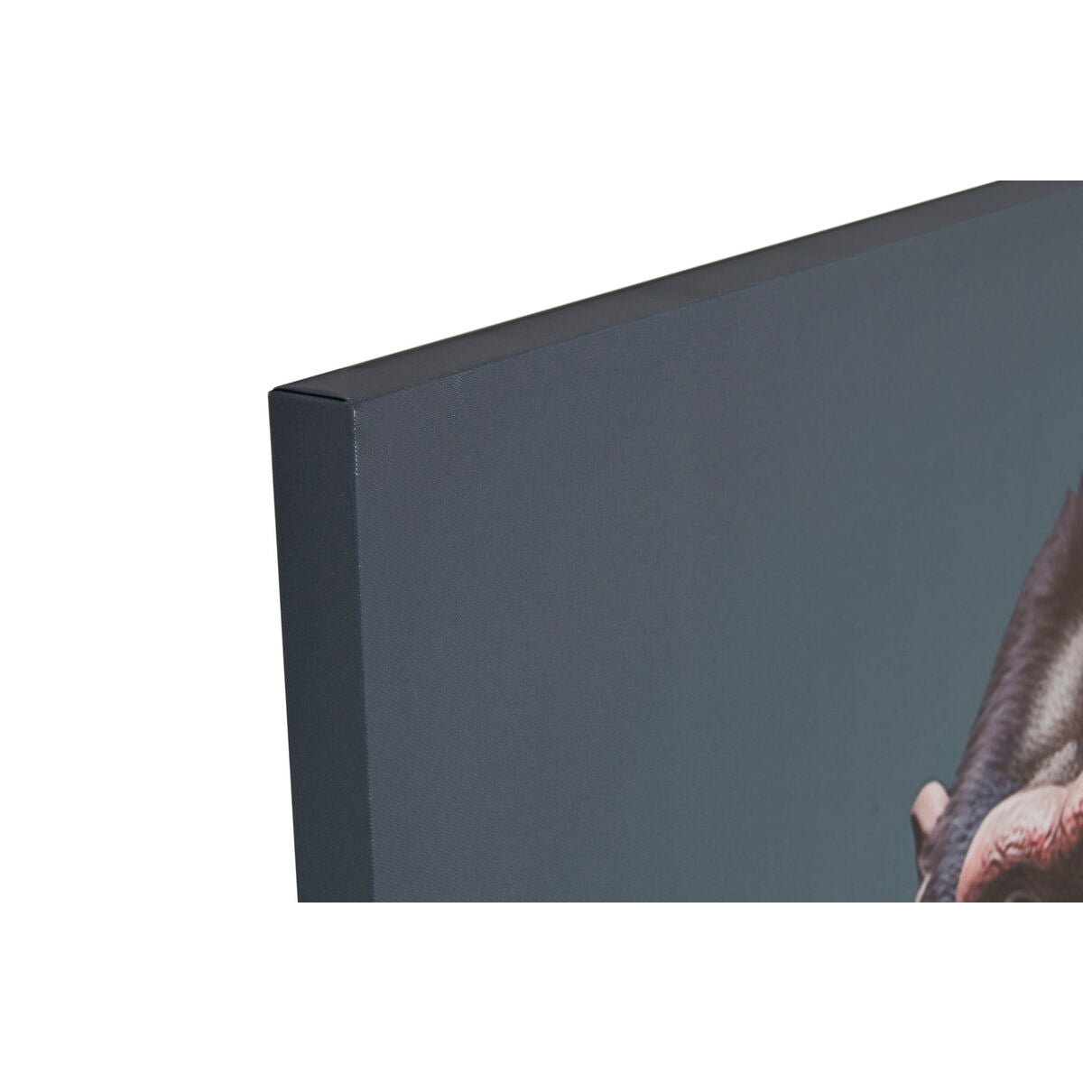 Toile Home ESPRIT Toile 80 x 3 x 120 cm