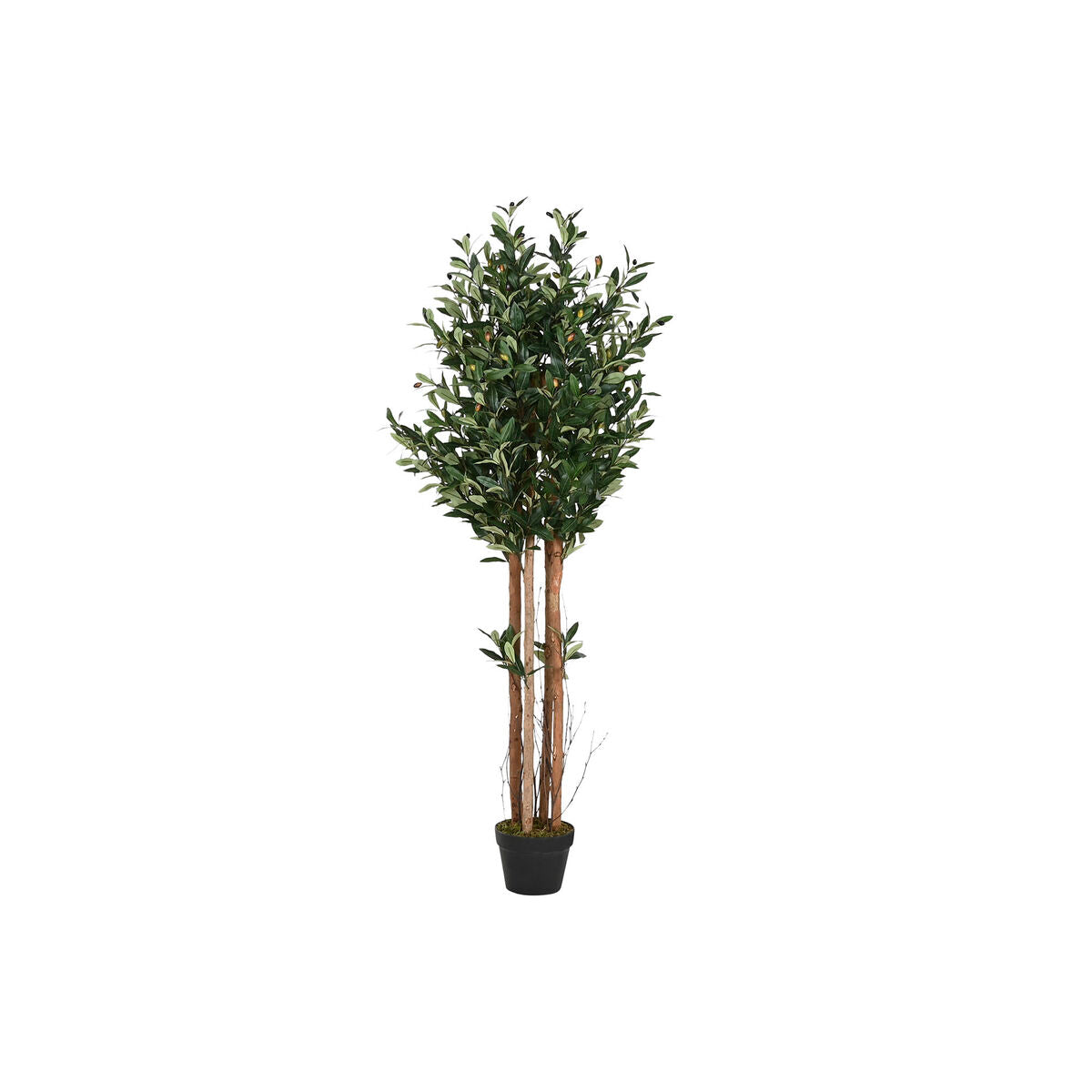 Arbre Home ESPRIT Polyester polypropylène Olivier