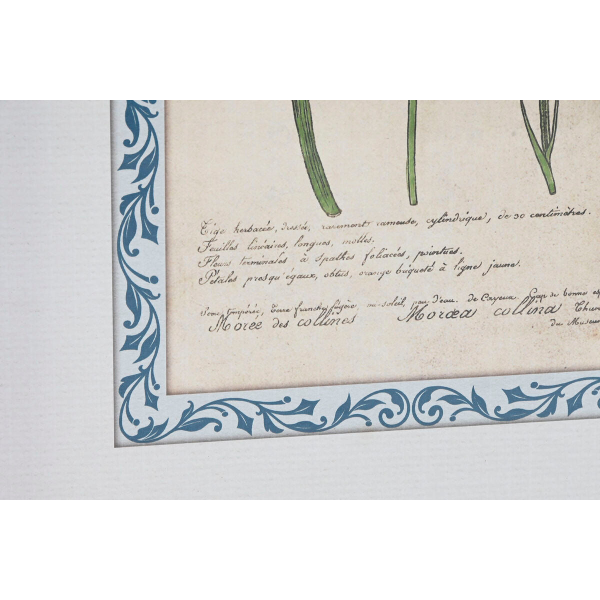 Cadre Home ESPRIT Verre Bois MDF 40 x 2,5 x 50 cm