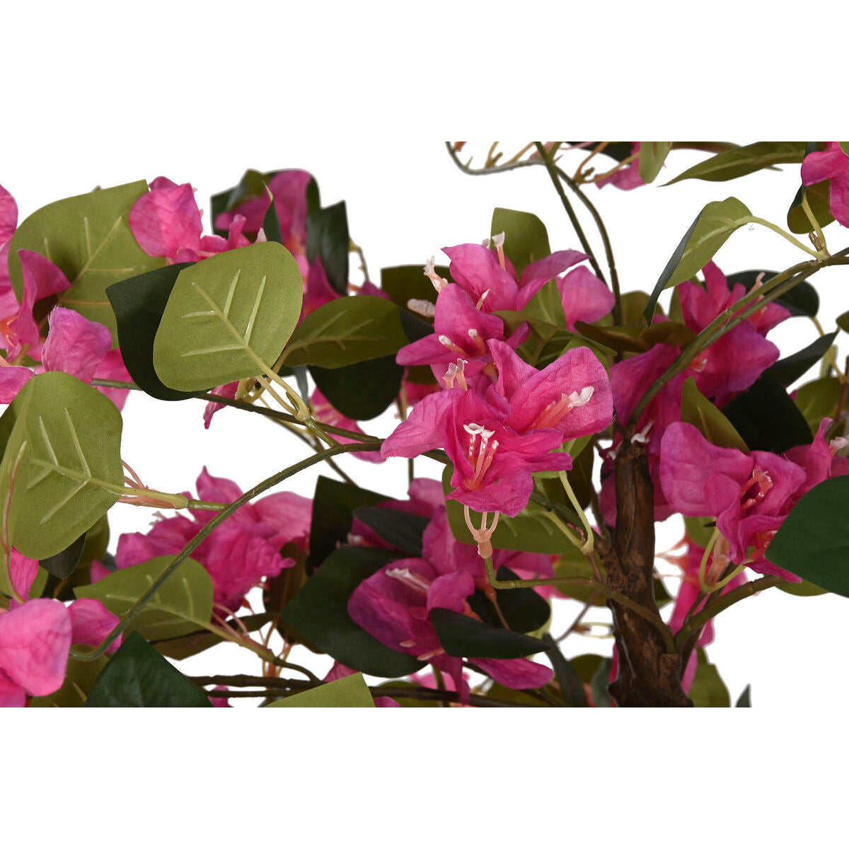 Plante décorative Home ESPRIT Polyéthylène