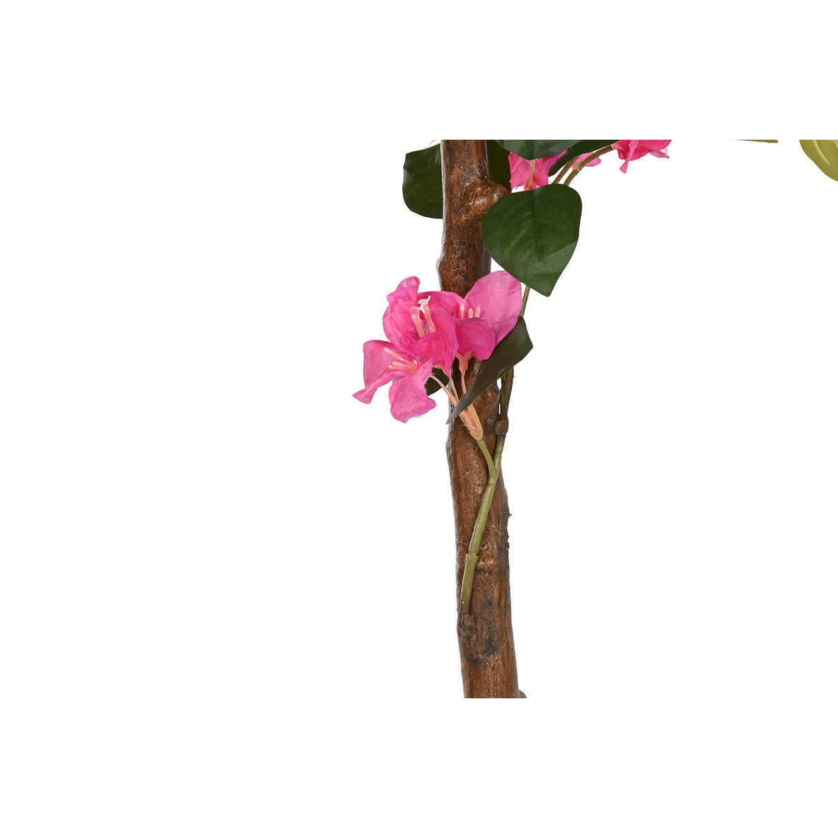 Plante décorative Home ESPRIT Polyéthylène