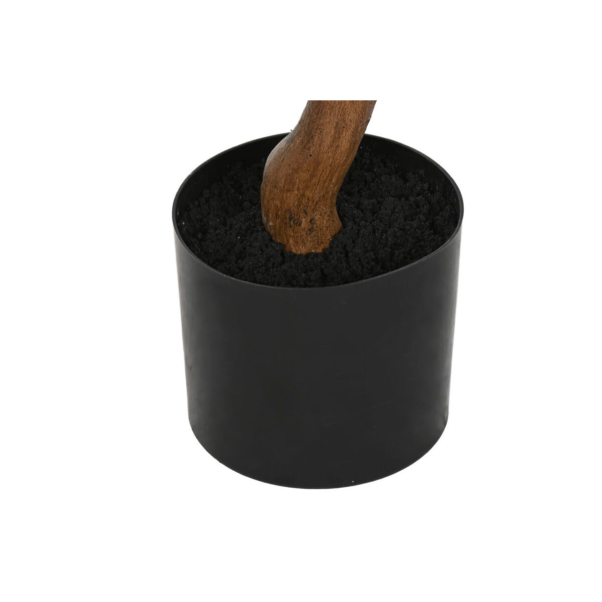 Plante décorative Home ESPRIT Polyéthylène