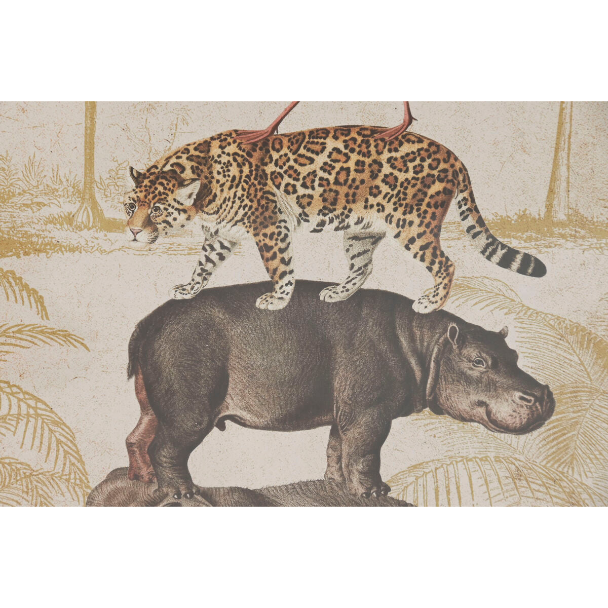 Cadre Home ESPRIT Verre Sapin 50 x 2,5 x 70 cm (2 Unités)