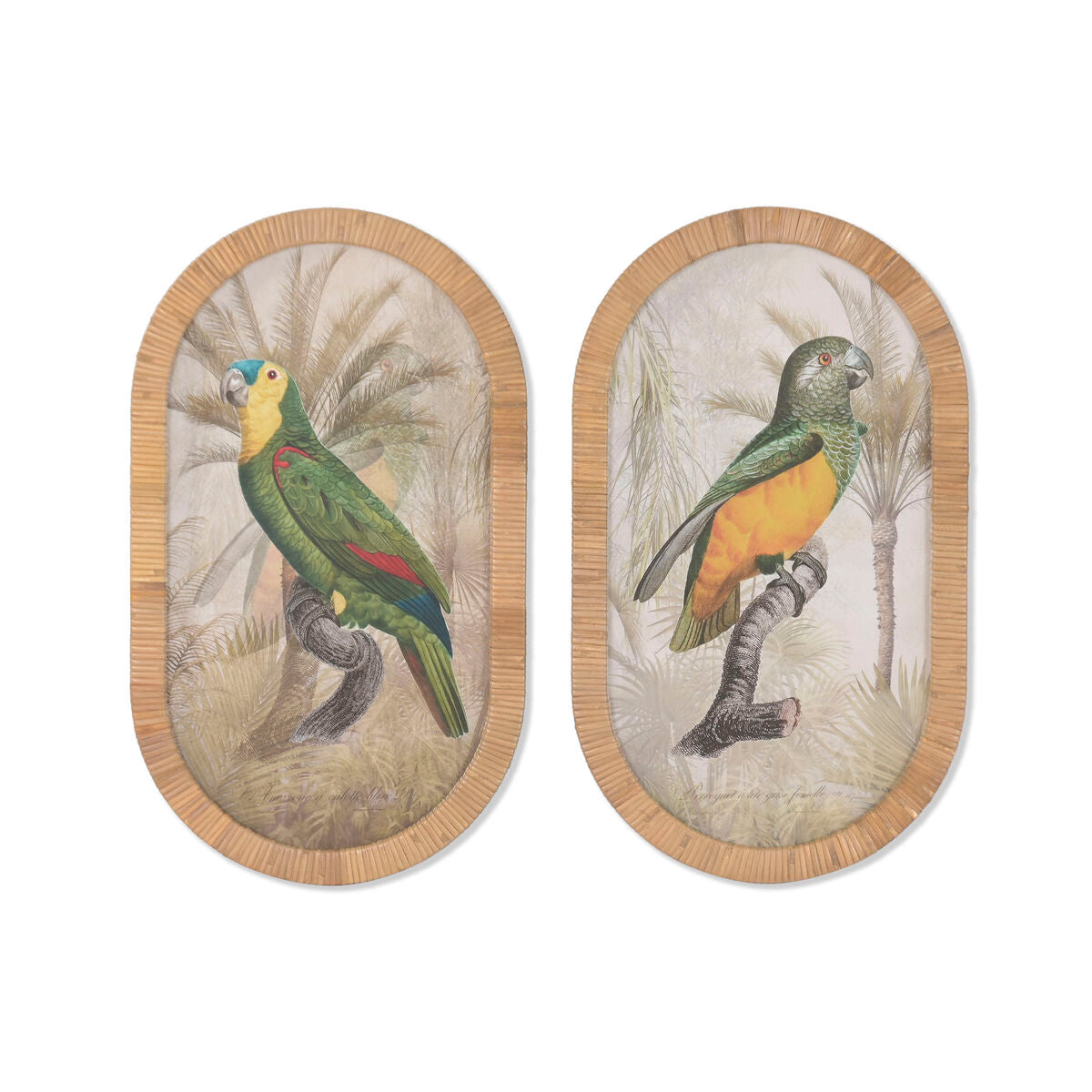 Cadre Home ESPRIT Verre Rotin 35 X 2,5 X 60 CM (2 Unités)