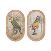 Cadre Home ESPRIT Verre Rotin 35 X 2,5 X 60 CM (2 Unités)