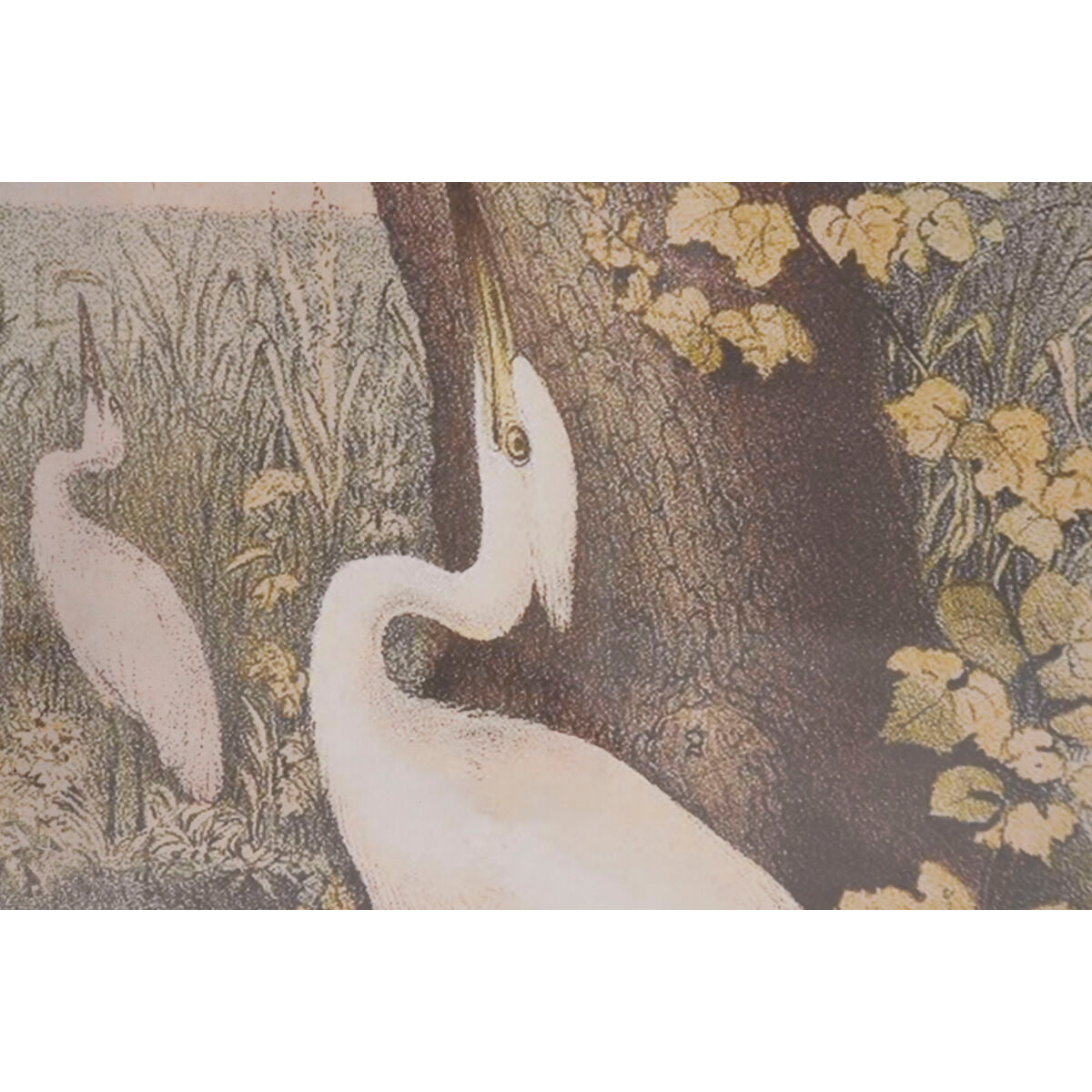 Cadre Home ESPRIT Verre Sapin 40 X 2,5 X 55 cm (6 Unités)