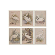 Cadre Home ESPRIT Verre Sapin 40 X 2,5 X 55 cm (6 Unités)