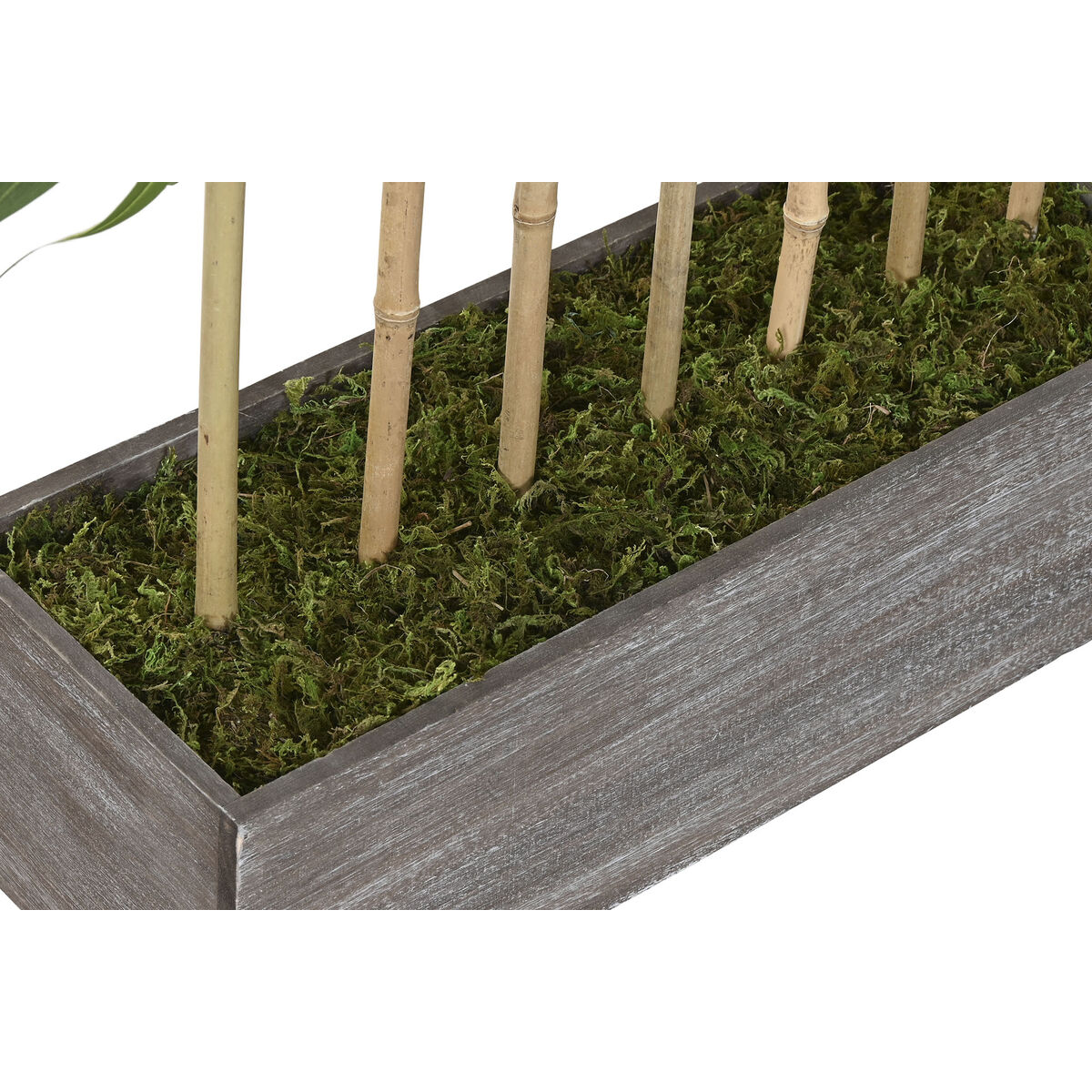 Plante décorative Home ESPRIT Bois Bambou Polyéthylène Oriental