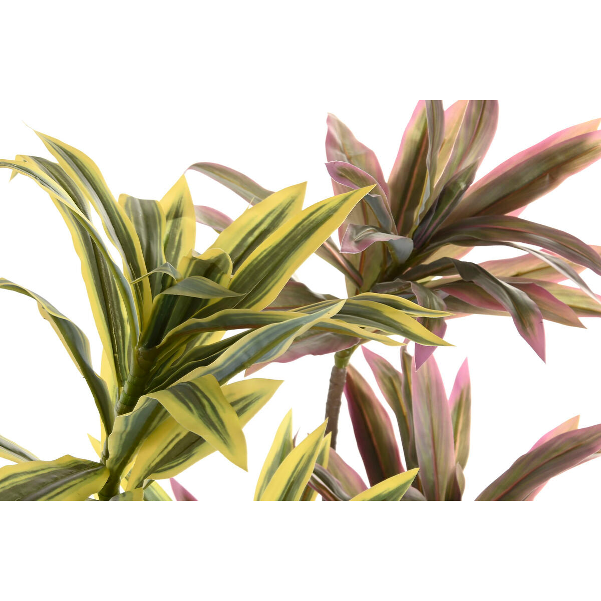 Plante décorative Home ESPRIT Polyéthylène Fibre 30 x 30 x 75 cm (2 Unités)