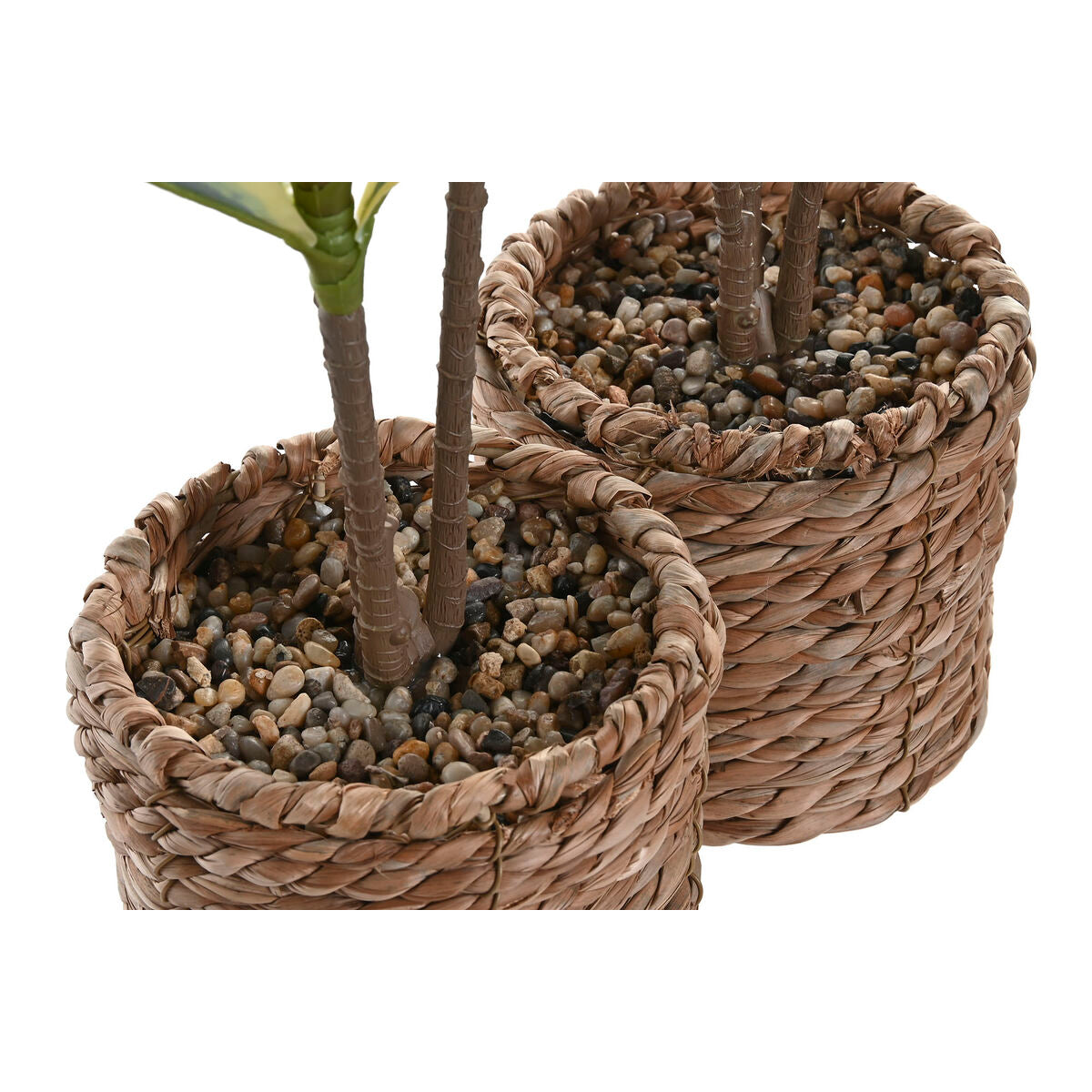 Plante décorative Home ESPRIT Polyéthylène Fibre 30 x 30 x 75 cm (2 Unités)