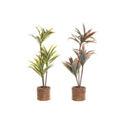 Plante décorative Home ESPRIT Polyéthylène Fibre 30 x 30 x 75 cm (2 Unités)