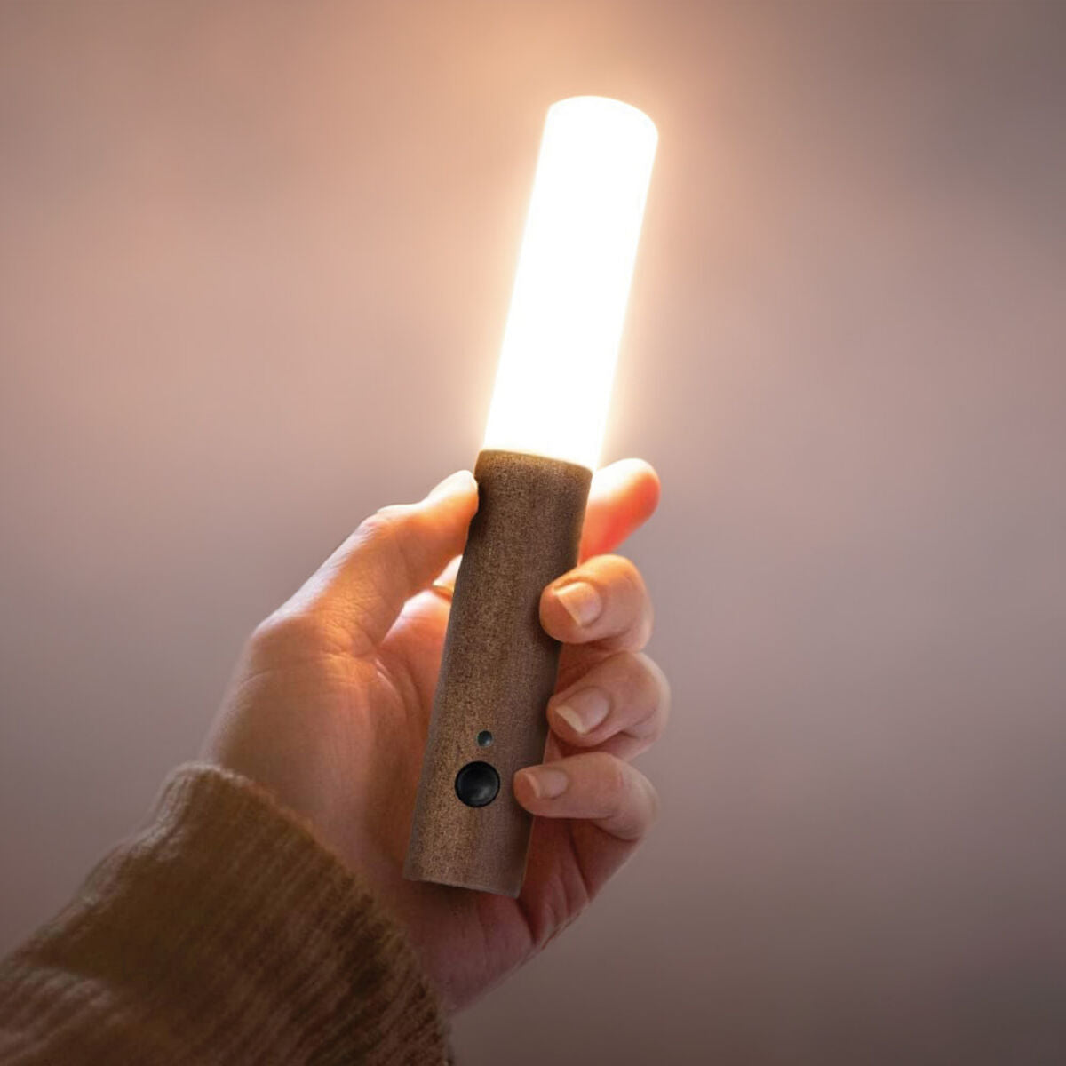 Lampe LED avec Capteur de Mouvement EDM 32158 Rechargeable Capteur de Mouvement