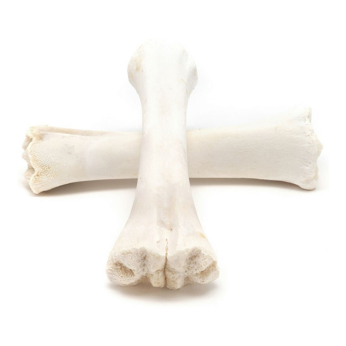 Snack pour chiens Gloria Veau Os Calcium 20 Unités