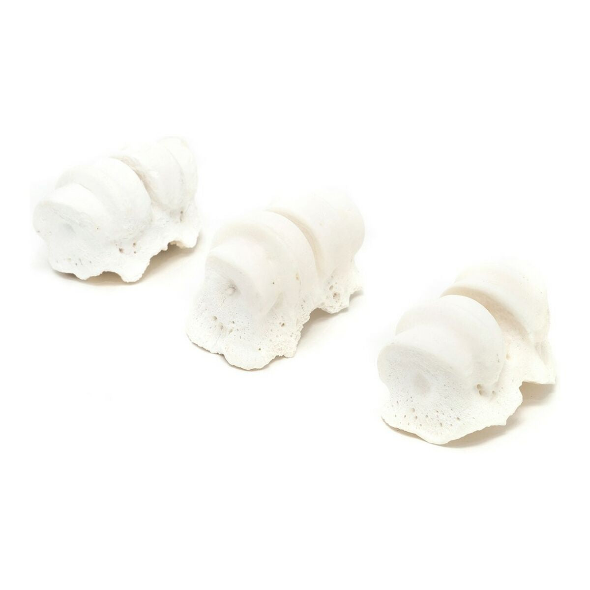 Snack pour chiens Gloria Veau Calcium Articulations