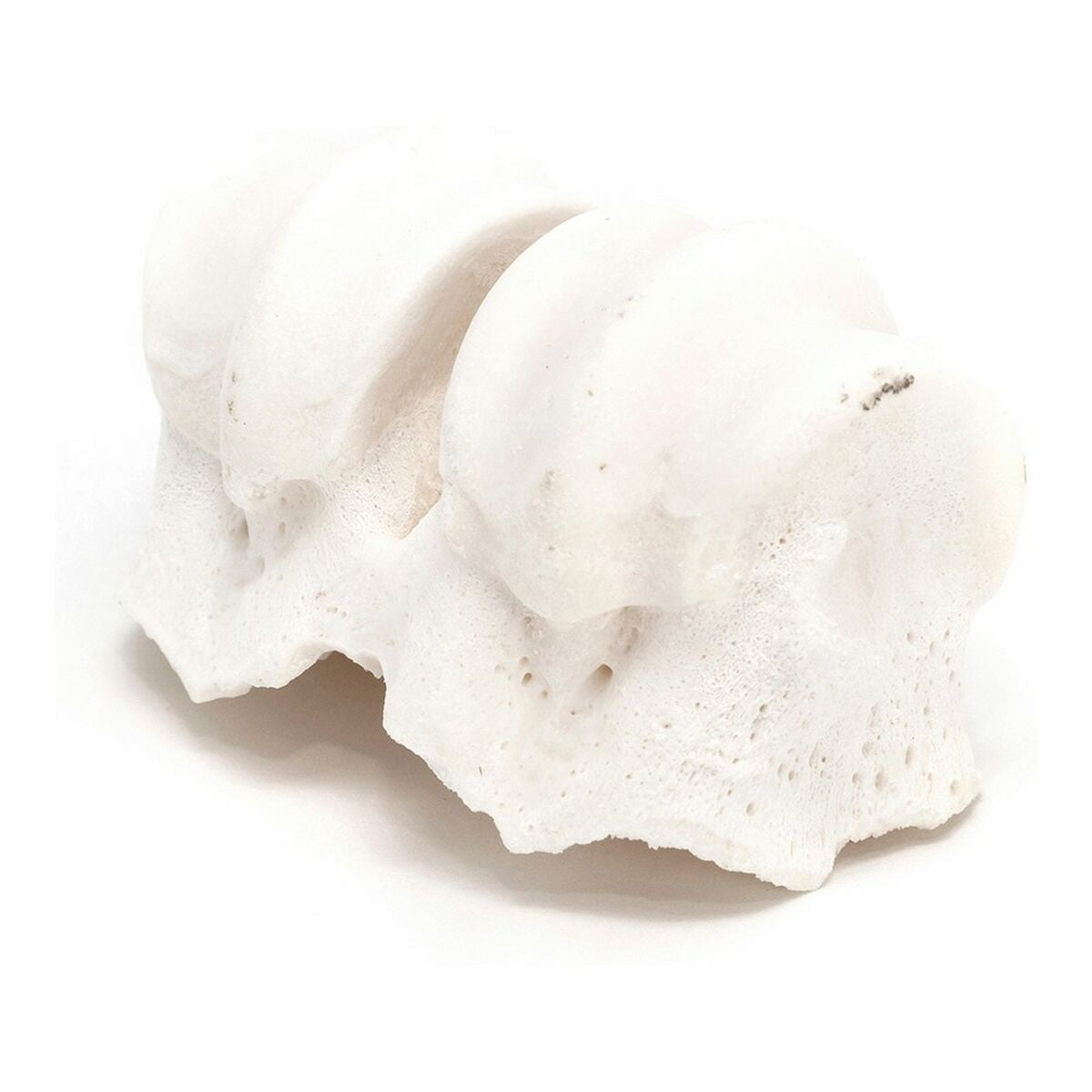 Snack pour chiens Gloria Veau Calcium Articulations