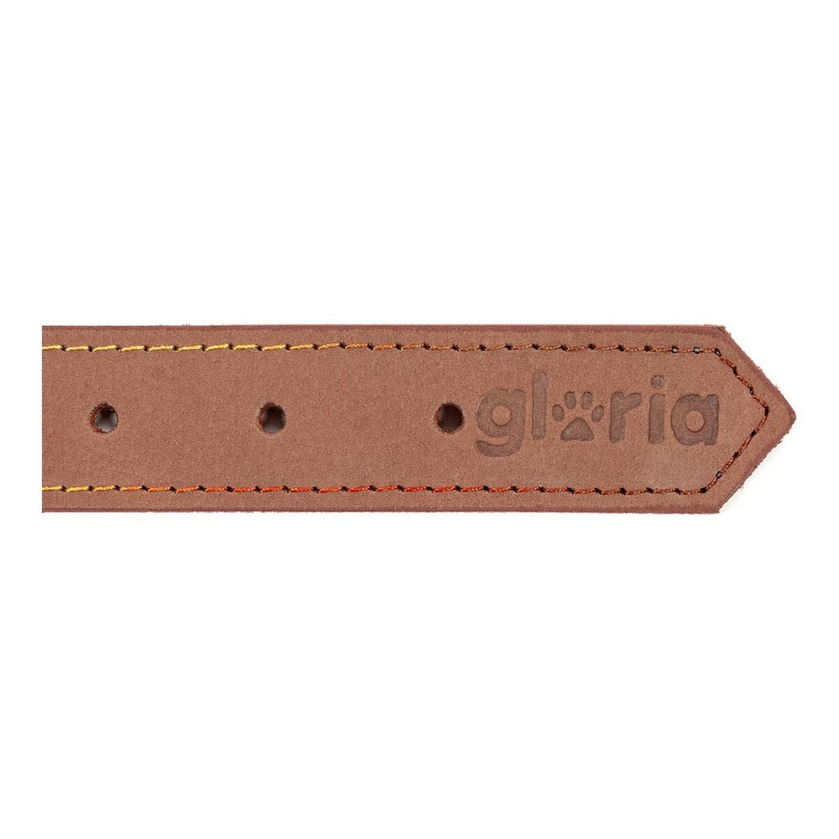 Collier pour Chien Gloria Oasis Marron (50 x 2,1 cm)