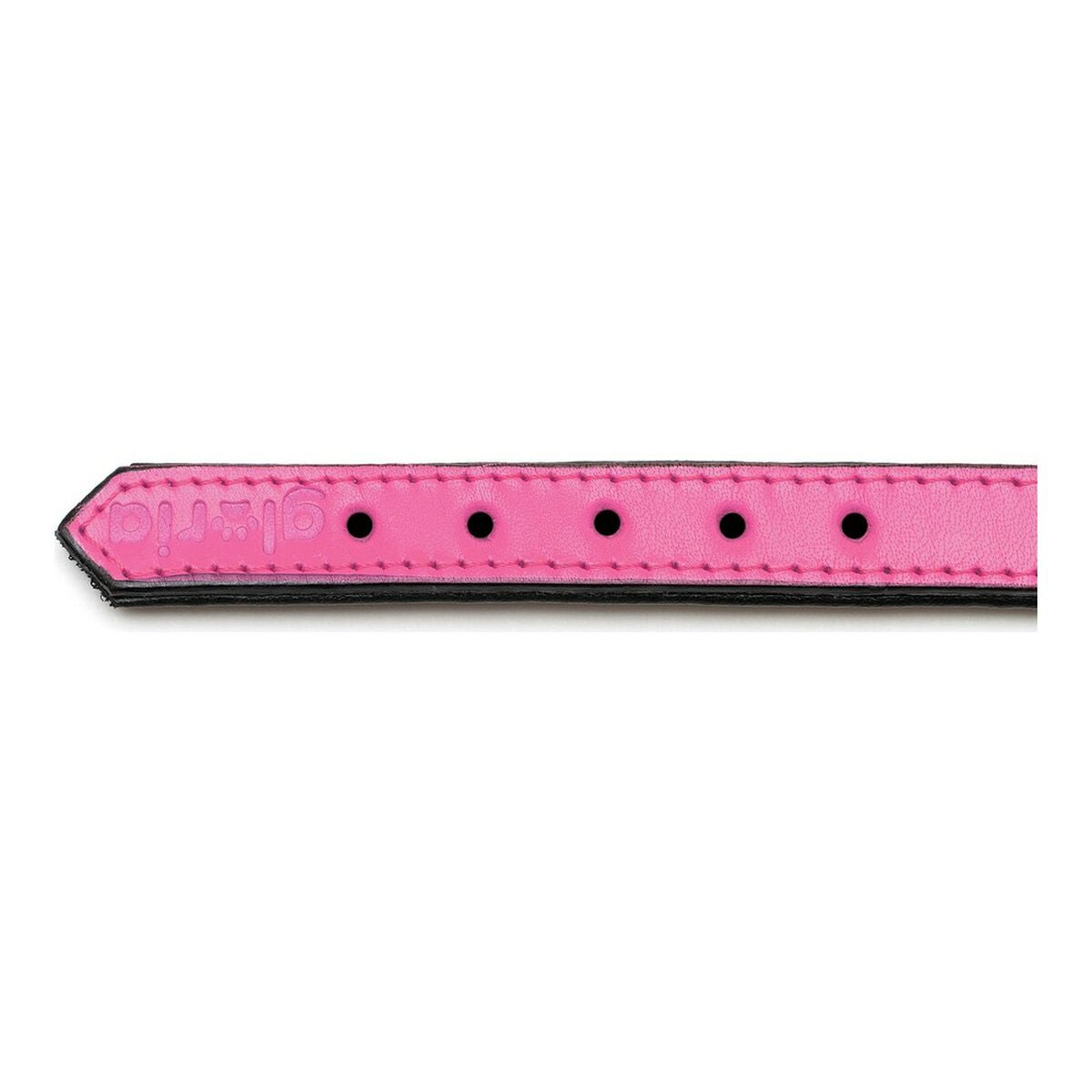 Collier pour Chien Gloria Rembourré Fuchsia (40 x 2 cm)