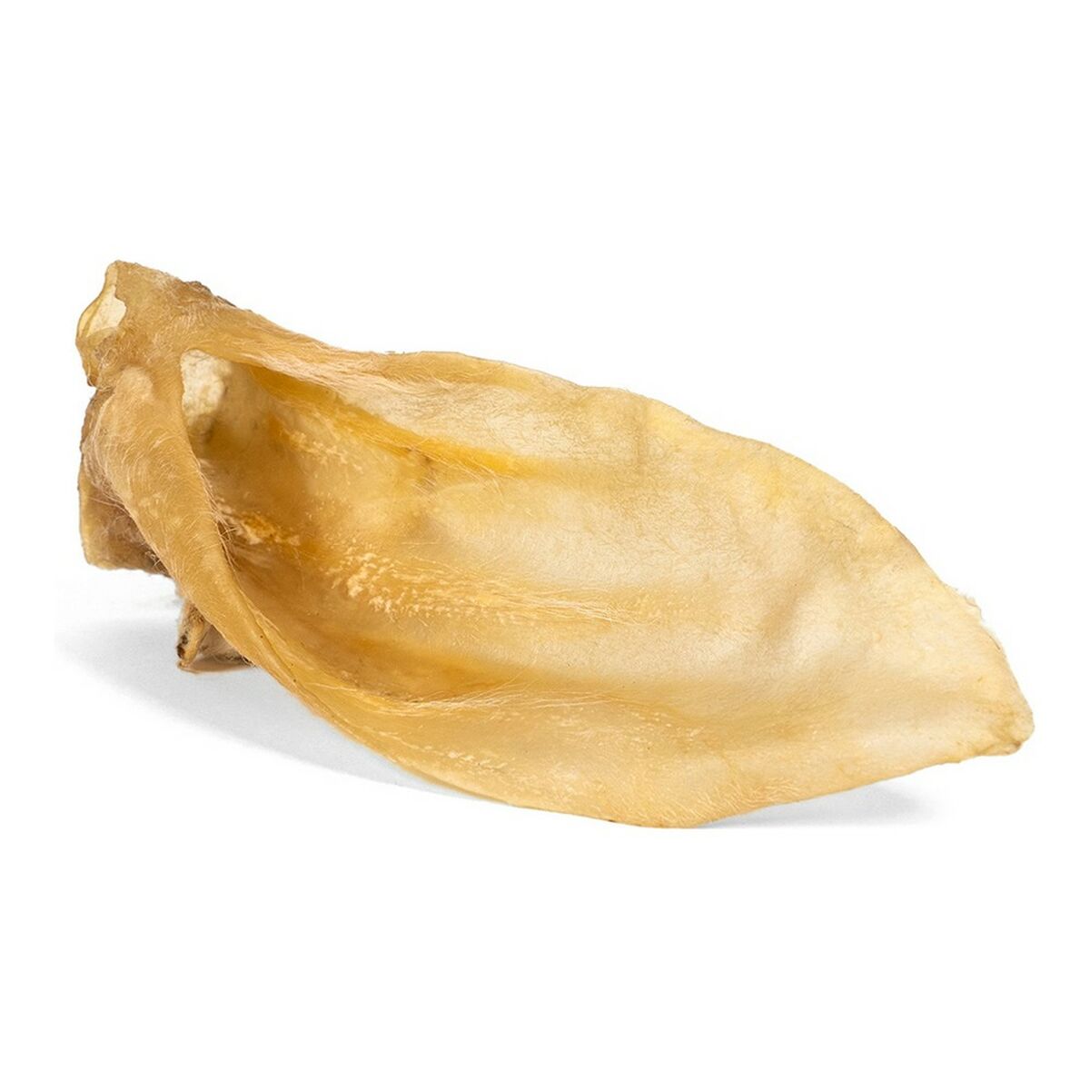 Oreilles d'agneau Gloria Oreilles Agneau