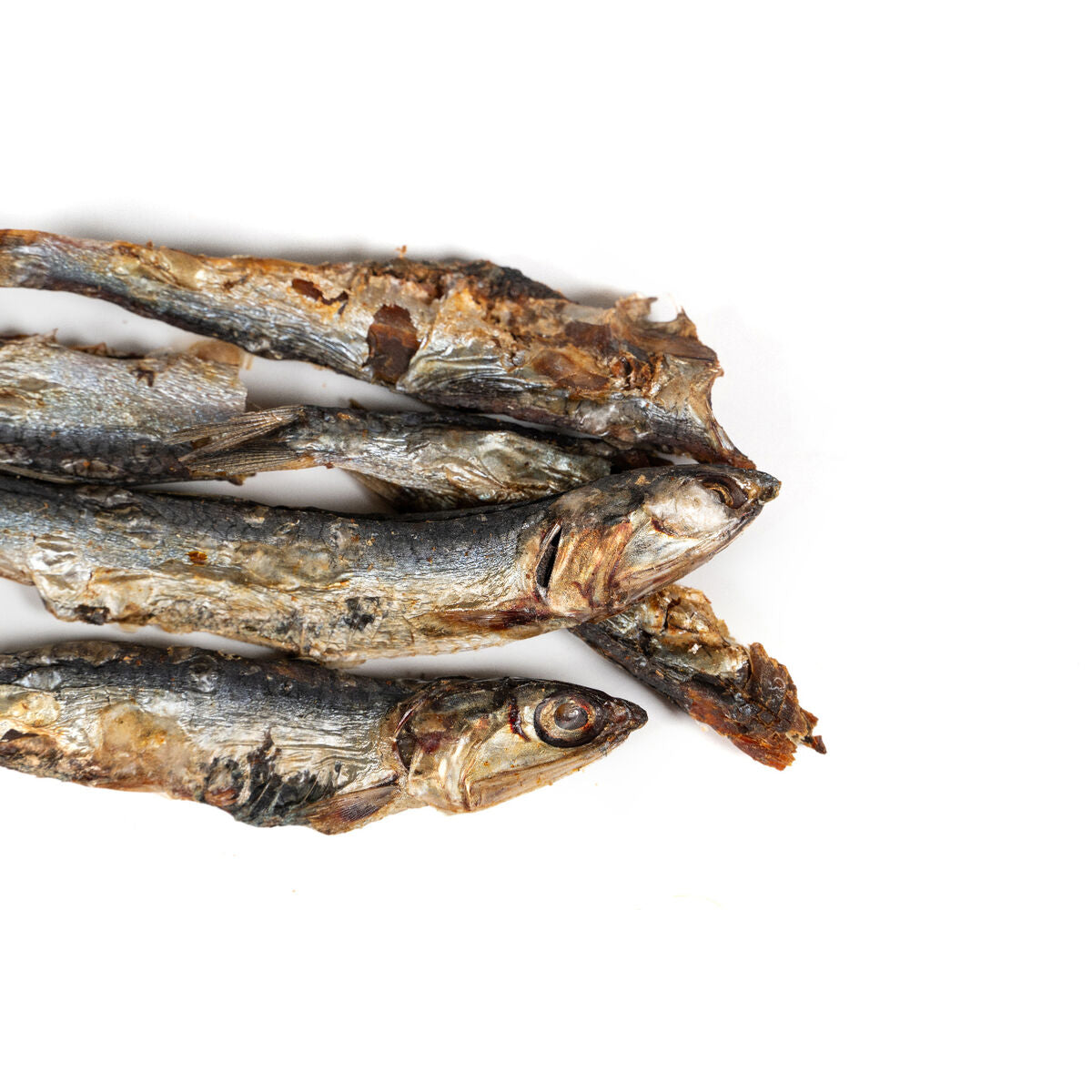 Alimentation humide Snackys Poisson 70 g