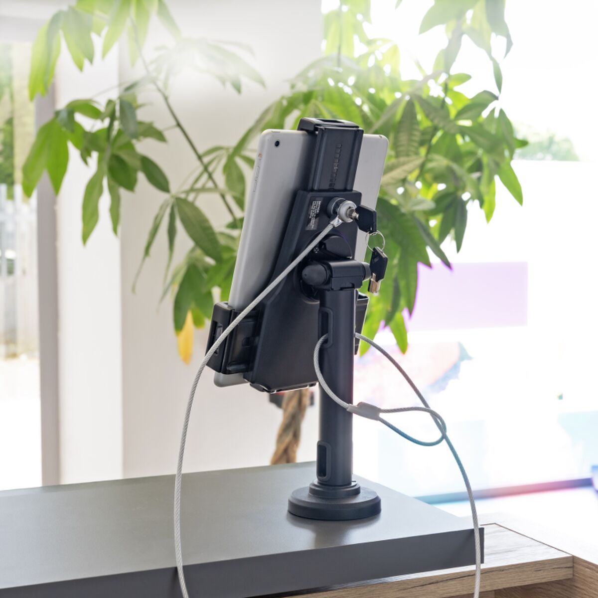 Support pour mobiles TooQ TQTDS0812 Noir Acier