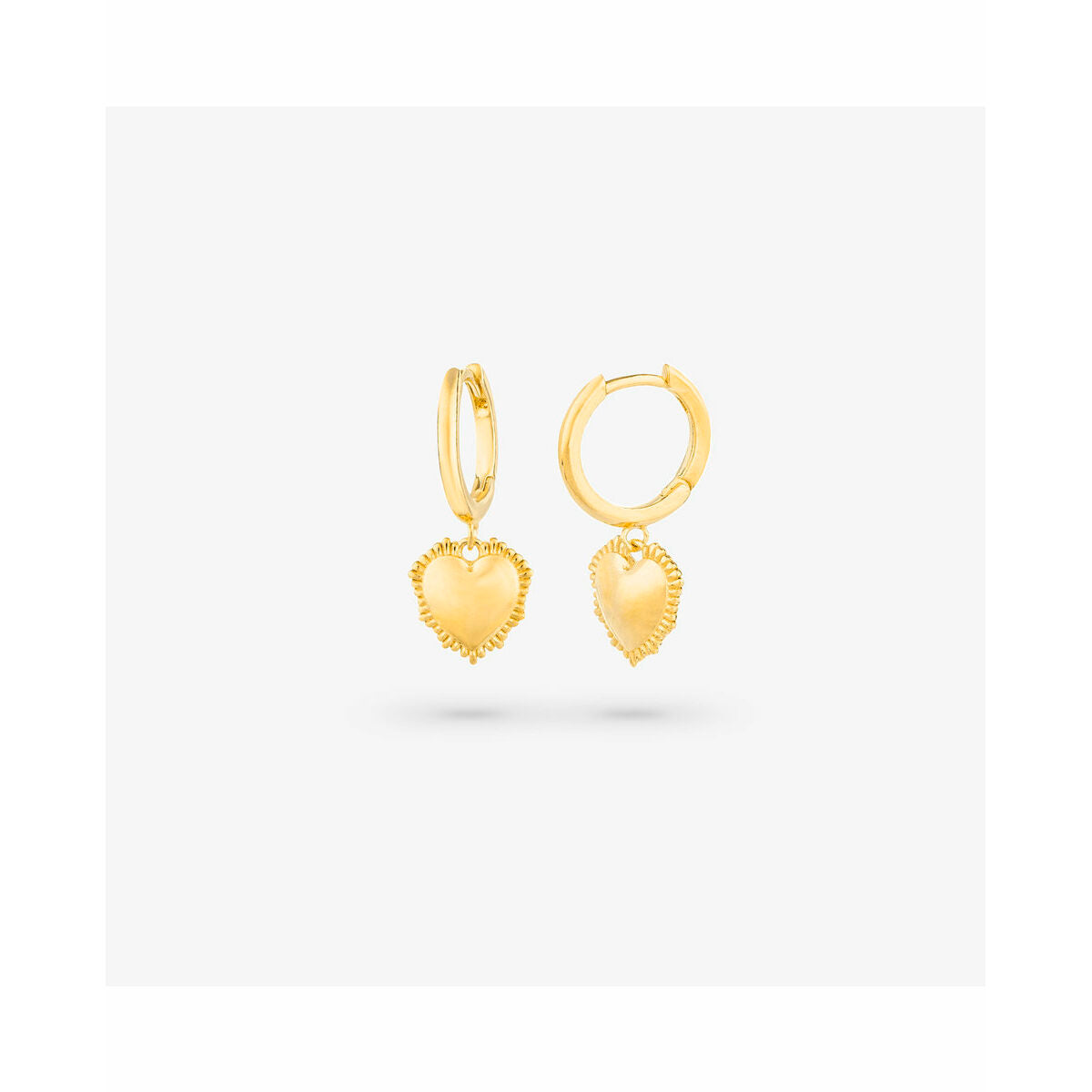 Boucles d´oreilles Femme Radiant RY000056 Acier inoxydable 2,5 cm