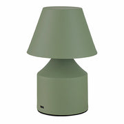 Lampe de bureau Fbright Vert 2 W