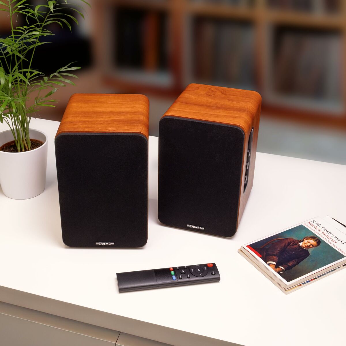 Haut-parleurs de PC iggual IGG319963 50 W