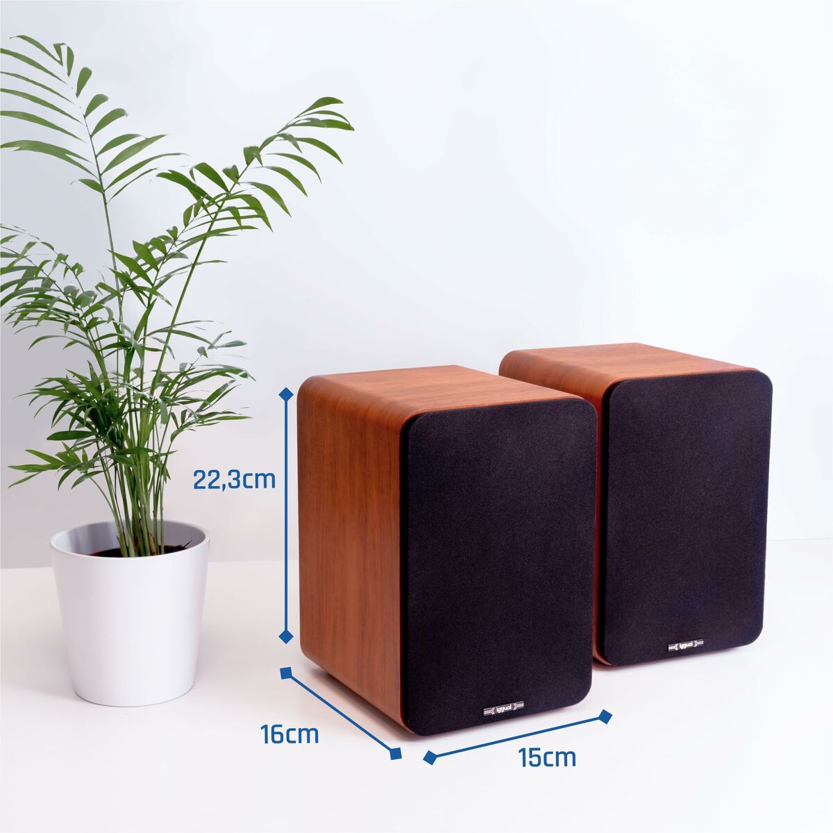 Haut-parleurs de PC iggual IGG319963 50 W