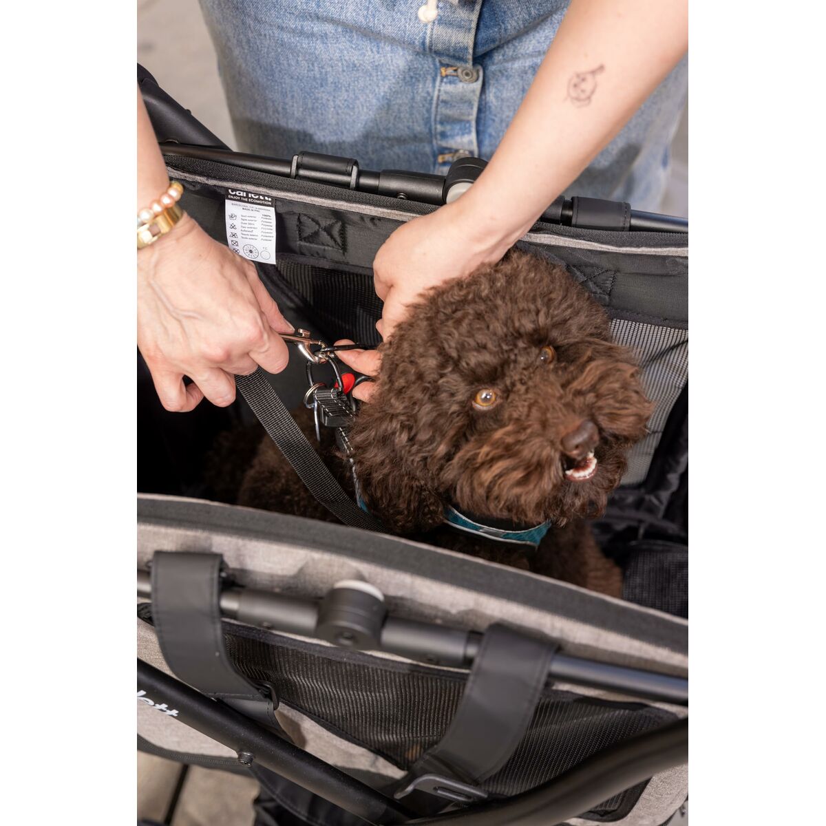 Panier à Courses Carlett CUBE P RUBY Rouge