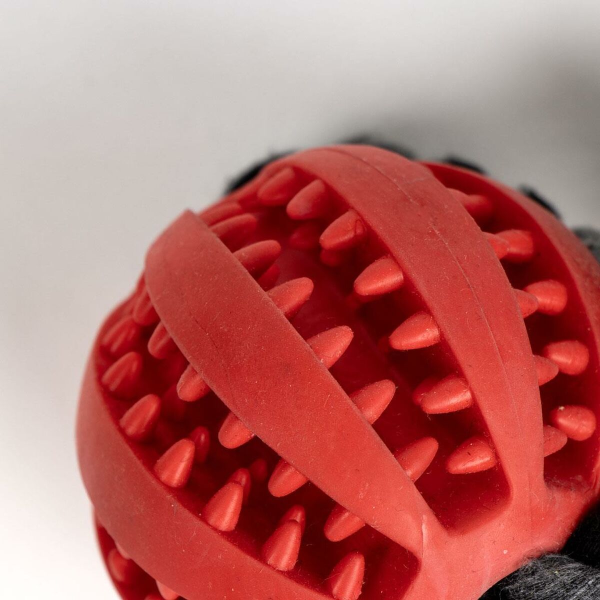 Jouet pour chien Minnie Mouse Rouge Polyester Coton TPR 10 x 30 x 7 cm 7 x 30 x 10 cm