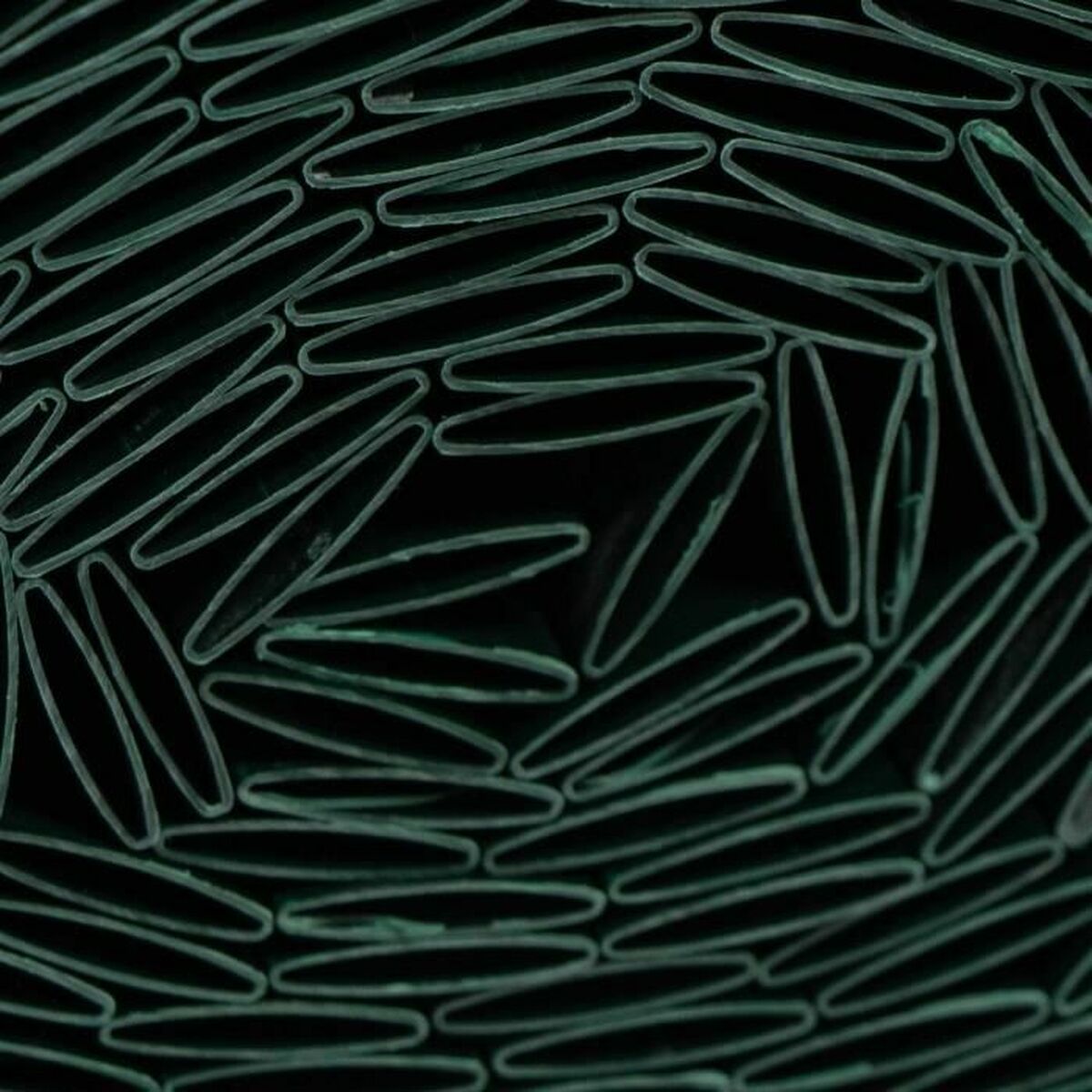 Maille de dissimulation Nature Vert