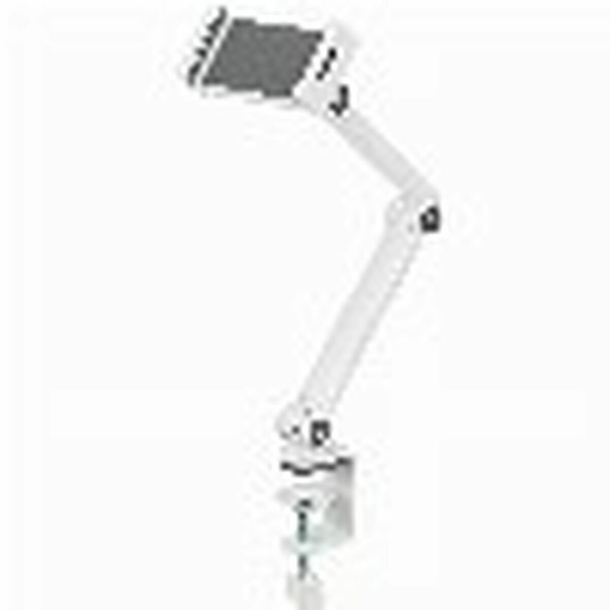 Support mural Neomounts DS15-545WH1 4,7" 12,9"