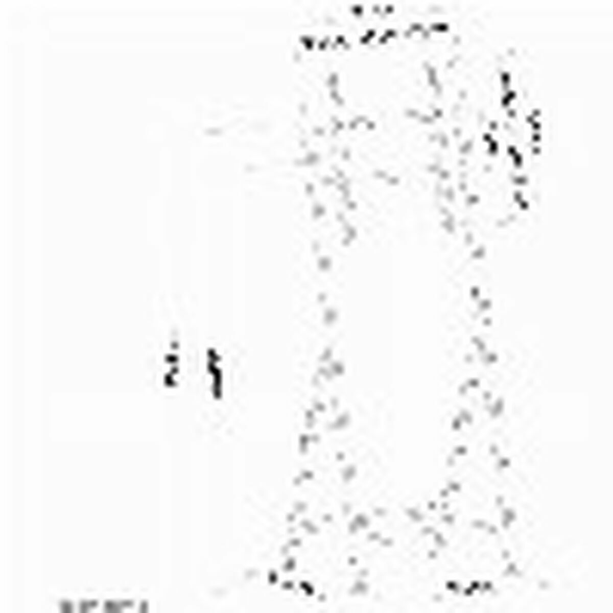 Support de TV Neomounts PLASMA-M1000 32" 55" 35 kg