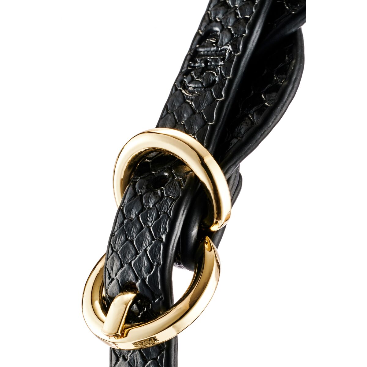 Bleu et Vert Flamboyant Guilty Pleasure Eclipse