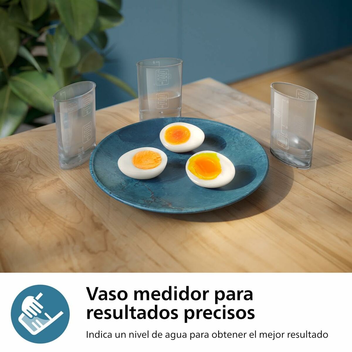 Bouilloire à œufs Philips HD9137/90 Noir 400 W