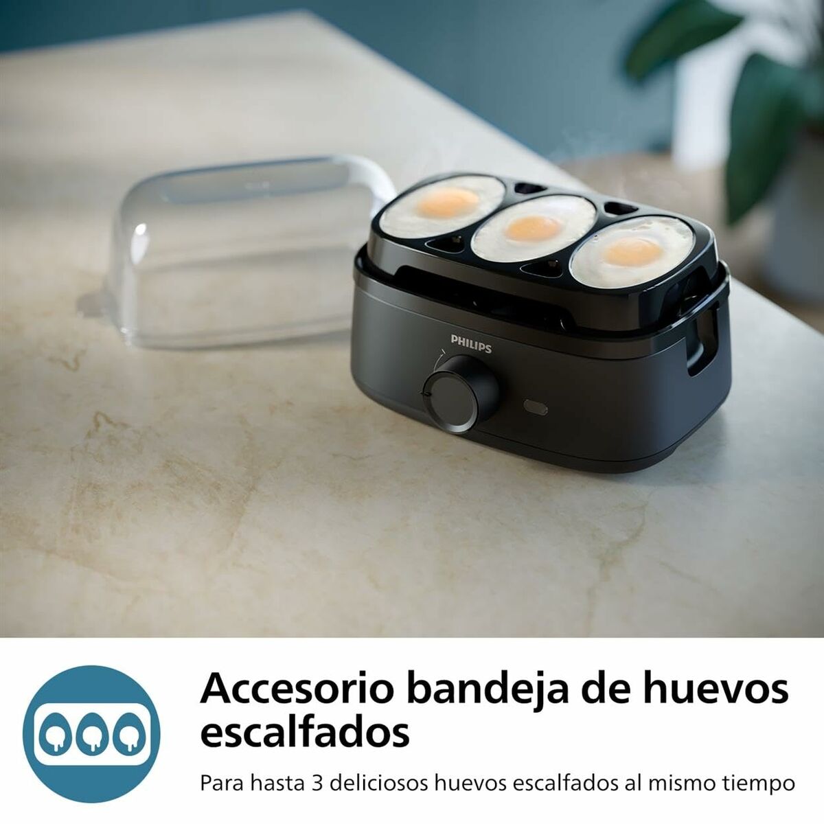 Bouilloire à œufs Philips HD9137/90 Noir 400 W